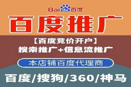 实战案例：SEM公司助力电商企业实现快速增长